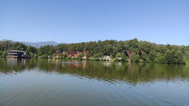 گیسوم
